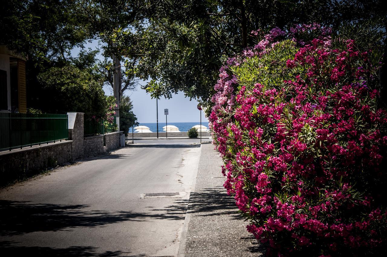 Oliveto A Mare - Suite & Apartment Ascea Bagian luar foto