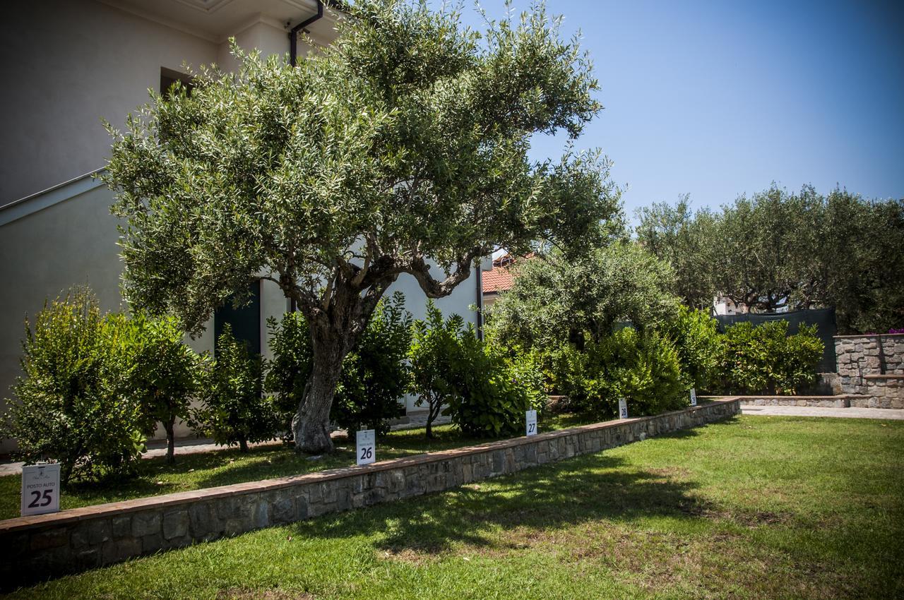 Oliveto A Mare - Suite & Apartment Ascea Bagian luar foto