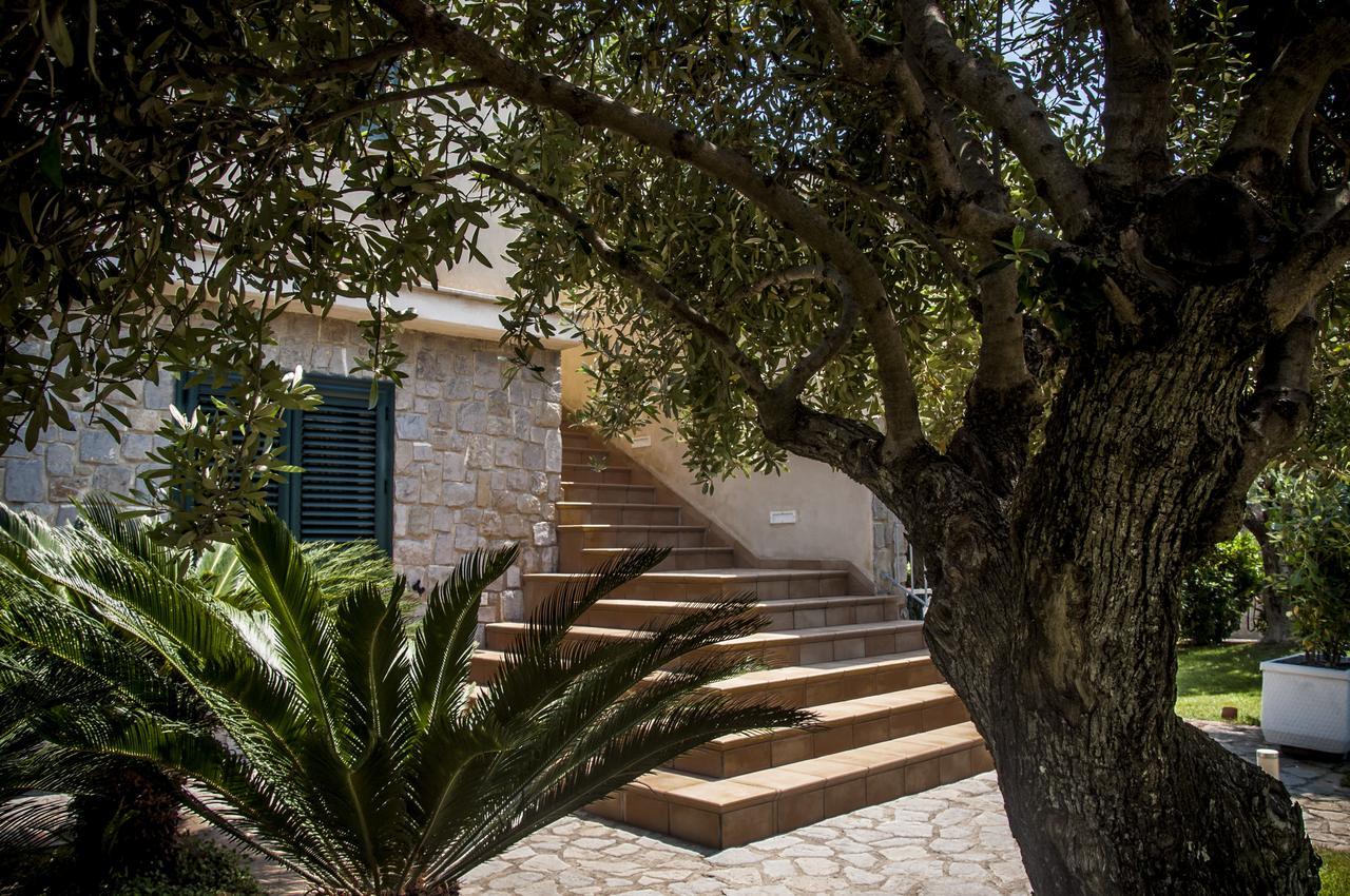 Oliveto A Mare - Suite & Apartment Ascea Bagian luar foto
