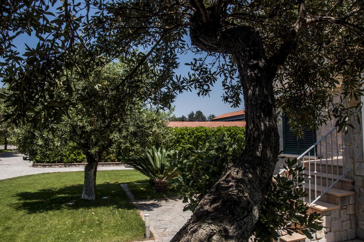 Oliveto A Mare - Suite & Apartment Ascea Bagian luar foto
